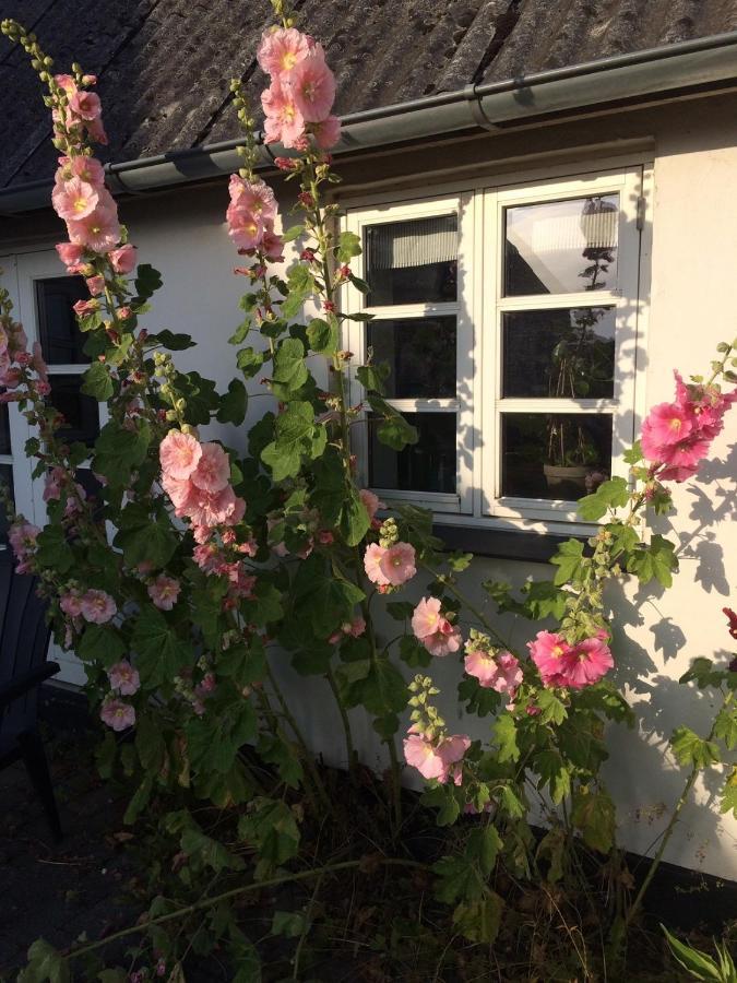 Bed and Breakfast Aasesminde Faaborg Esterno foto